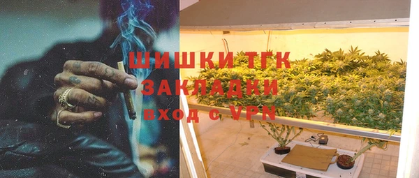 твердый Богданович