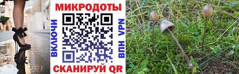 shop телеграм  Вышний Волочёк  Галлюциногенные грибы мухоморы  где купить наркоту 