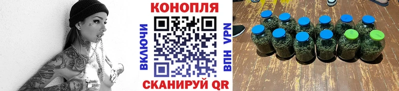 Бошки марихуана THC 21%  Вышний Волочёк 
